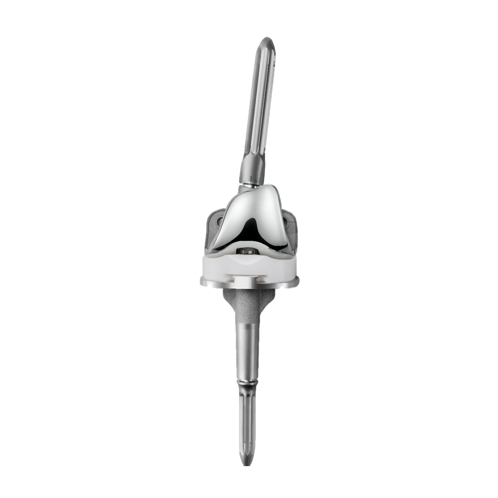 Revisión del sistema total de rodilla